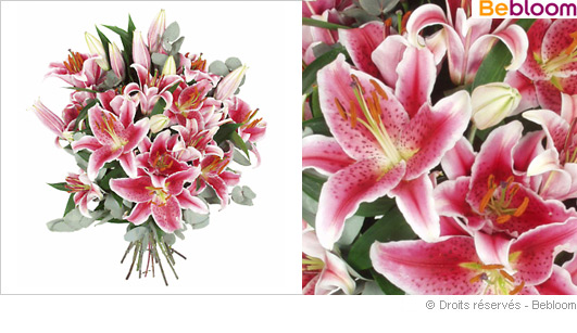 Offrir des fleurs fetes des meres