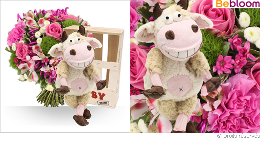 Offrir un cadeau de naissance fille, fleurs et peluche