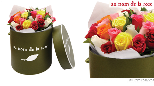 Offrir un bouquet de roses dans une boîte à chapeau vert Offrir un bouquet de roses dans une boîte à chapeau vert
